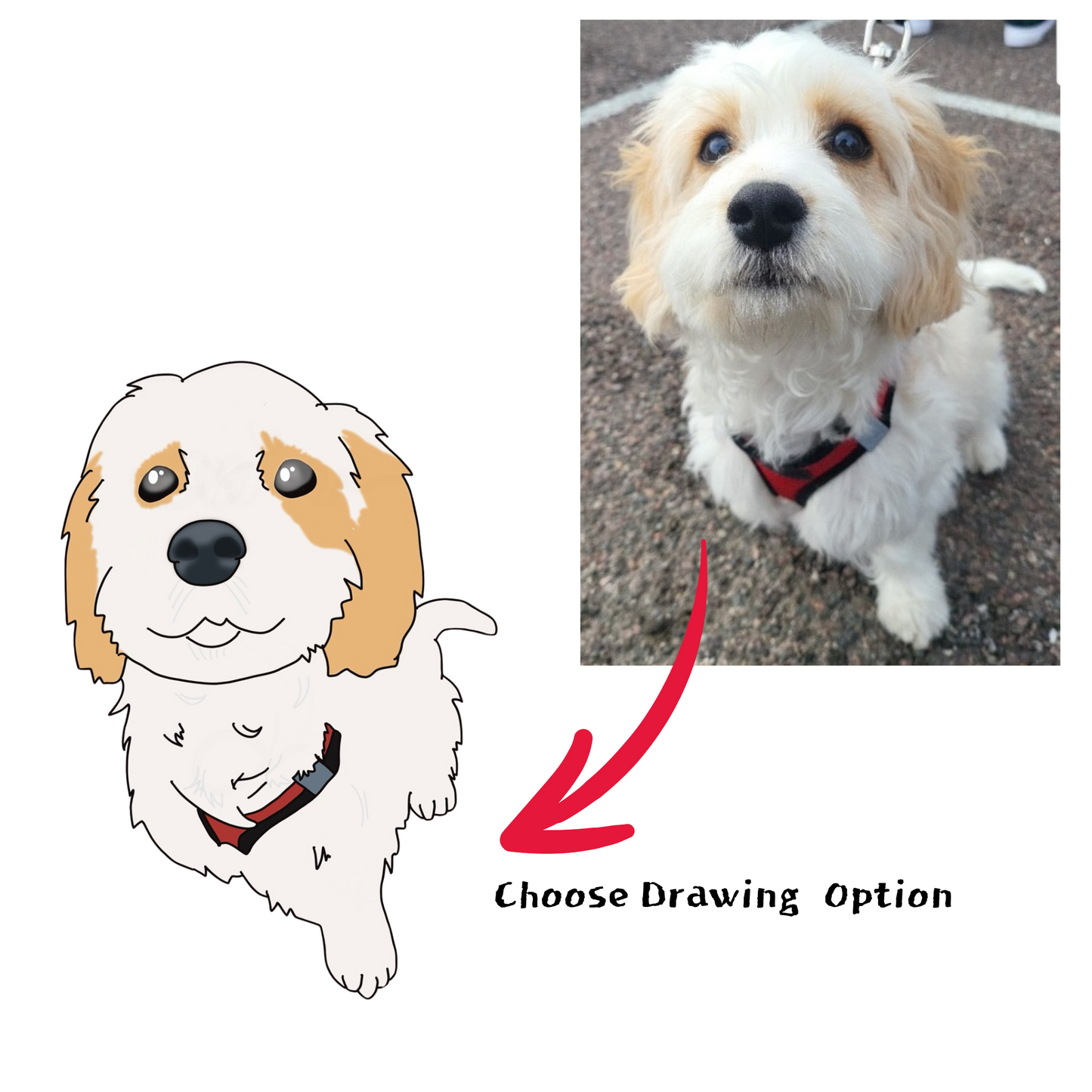 Personalized Pet Mug